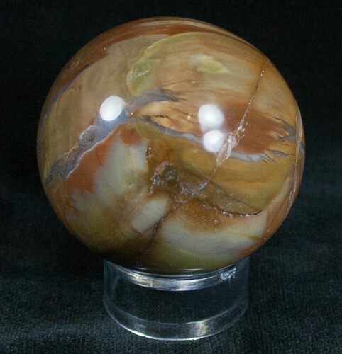 Colorful Petrified Wood Sphere #6813